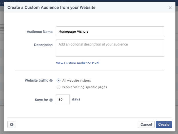 Custom Audience All Website Visitors