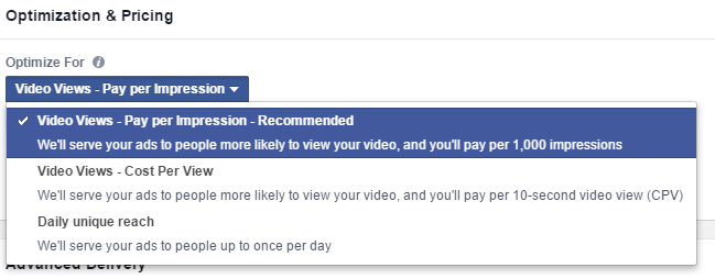 Facebook Video Optimized Bidding and Pricing